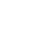 Briar icon white logo with black background